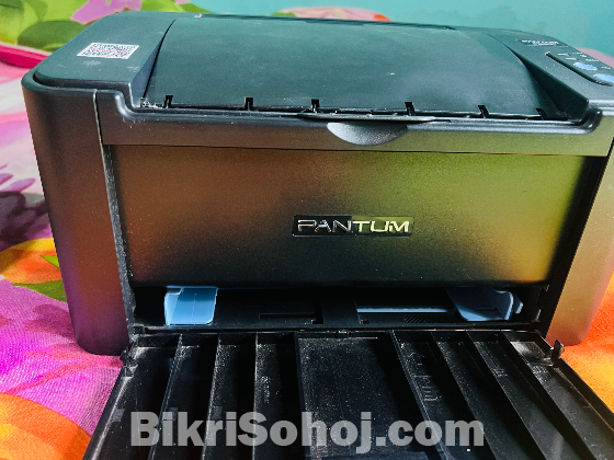 Pantum P2500